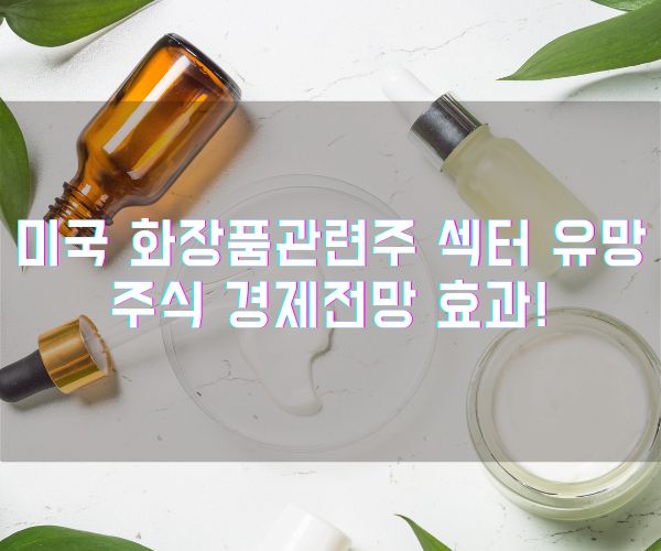 _미국 화장품관련주 섹터 유망주식 경제전망 효과! (1)