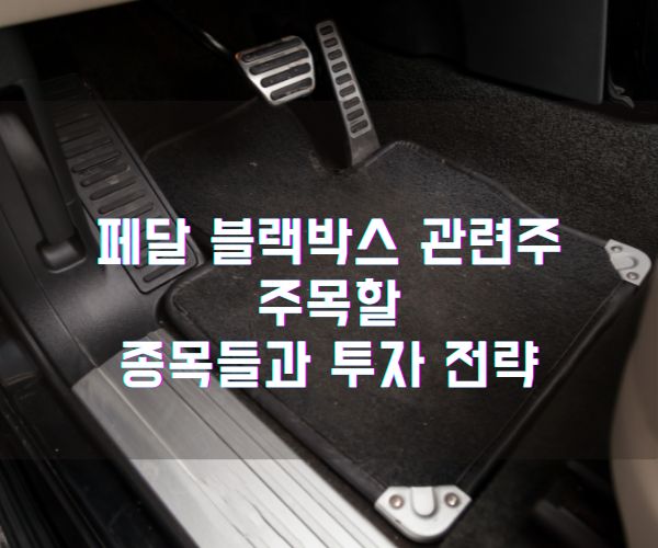 페달 블랙박스 관련주 주목할 종목들과 투자 전략