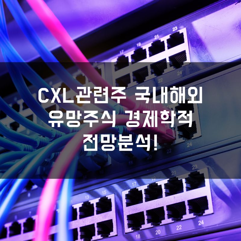 CXL 관련주 국내외 유망주식과 경제학적 전망 분석