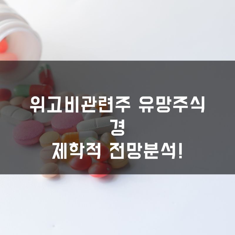 위고비관련주 유망주식 경제학적 전망분석!