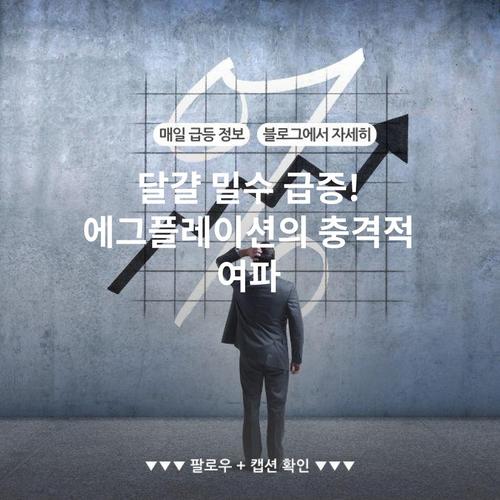 달걀 밀수 급증! 에그플레이션의 충격적 여파