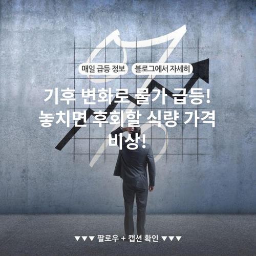 기후 변화로 물가 급등! 놓치면 후회할 식량 가격 비상!