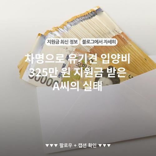 차명으로 유기견 입양비 325만 원 지원금 받은 A씨의 실태