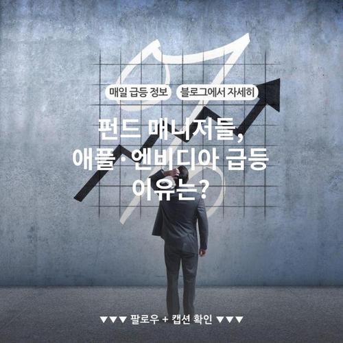 펀드 매니저들, 애플·엔비디아 급등 이유는?