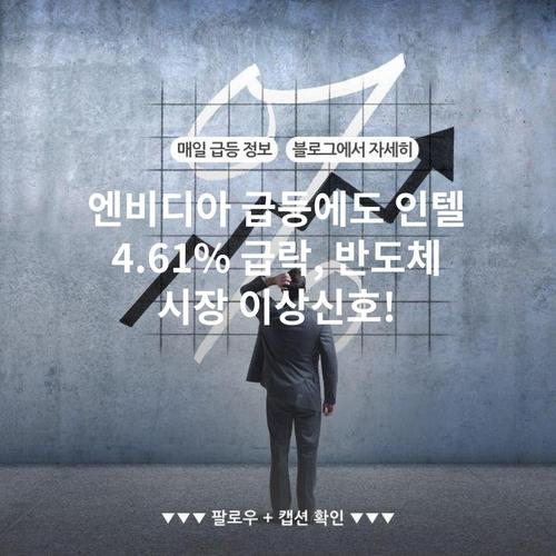 엔비디아 급등에도 인텔 4.61% 급락, 반도체 시장 이상신호!