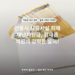안동시 사유시설 피해 재난지원금, 김새롬 의원의 강력한 발의!