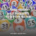 놓치면 후회할 전지현 우아함과 58억 로또 비밀