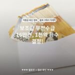 보조금 부정수급 16만건, 1천억 환수 결정!