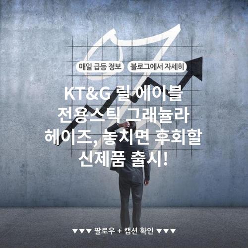 KT&G 릴 에이블 전용스틱 그래뉼라 헤이즈, 놓치면 후회할 신제품 출시!