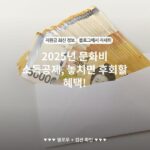 2025년 문화비 소득공제, 놓치면 후회할 혜택!