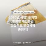 2026년 시행! 놓치면 후회할 개인통관 고유부호 변경사항 총정리!