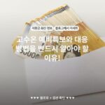고수온 예비특보와 대응 방법을 반드시 알아야 할 이유!