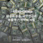 테슬라 줍줍, 국민연금과 애플 주가 하락의 비밀