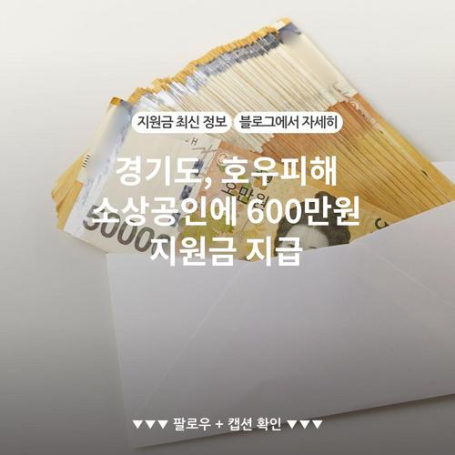 경기도, 호우피해 소상공인에 600만원 지원금 지급
