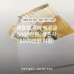 세월호 국비 위로금 5000만원, 생존자 1000만원 지원!
