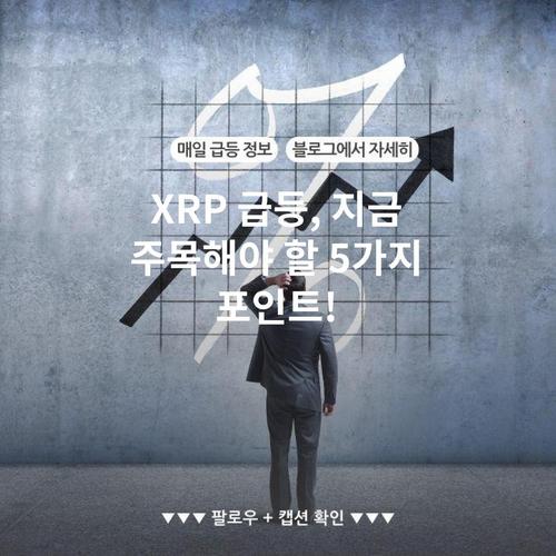 XRP 급등, 지금 주목해야 할 5가지 포인트!