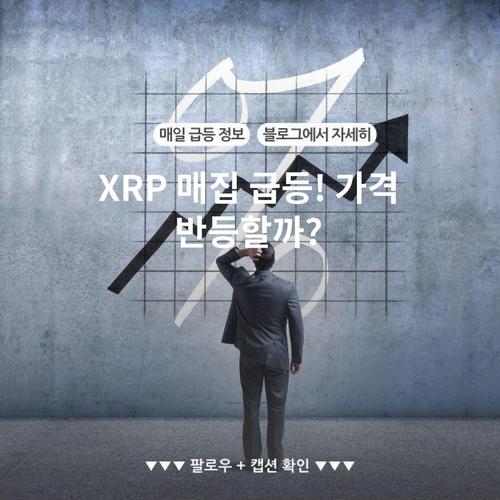 XRP 매집 급등! 가격 반등할까?